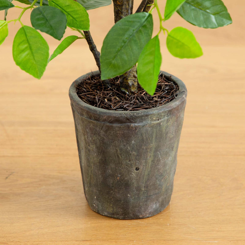 3’ Ficus Artificial Tree in Planter, photo 4 of 5