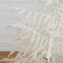 3' Artificial Real Touch White Norfolk Island Pine Christmas Tree with Natural Look