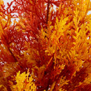 3' UV Resistant Autumn Artificial Fall Cedar Tree (Indoor/Outdoor)