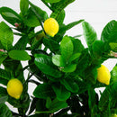 3’ Lemon Artificial Tree