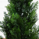 3’ Mini Cedar Pine Tree (Indoor/Outdoor)