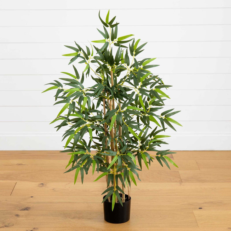 3' Multi Bambusa Bamboo Silk Tree