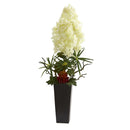 3’ Peegee Hydrangea and Succulent Artificial Arrangement in Black Vase