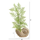 3’ Ruffle Fern Artificial Tree in Shell Shaped Planter