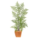 3’ Ruffle Fern Artificial Tree in Terra-Cotta Planter