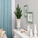 3’ Sansevieria Artificial Plant in Sand Colored Urn