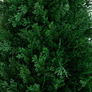 3' UV Resistant Artificial Cedar Plant with Integrated Ground Stake (Indoor/Outdoor) - Set of 2