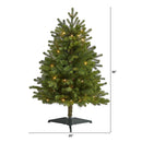 3’ Washington Fir Artificial Christmas Tree with 50 Clear Lights