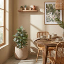 3' Zebra Silk Plant by Nearly Natural