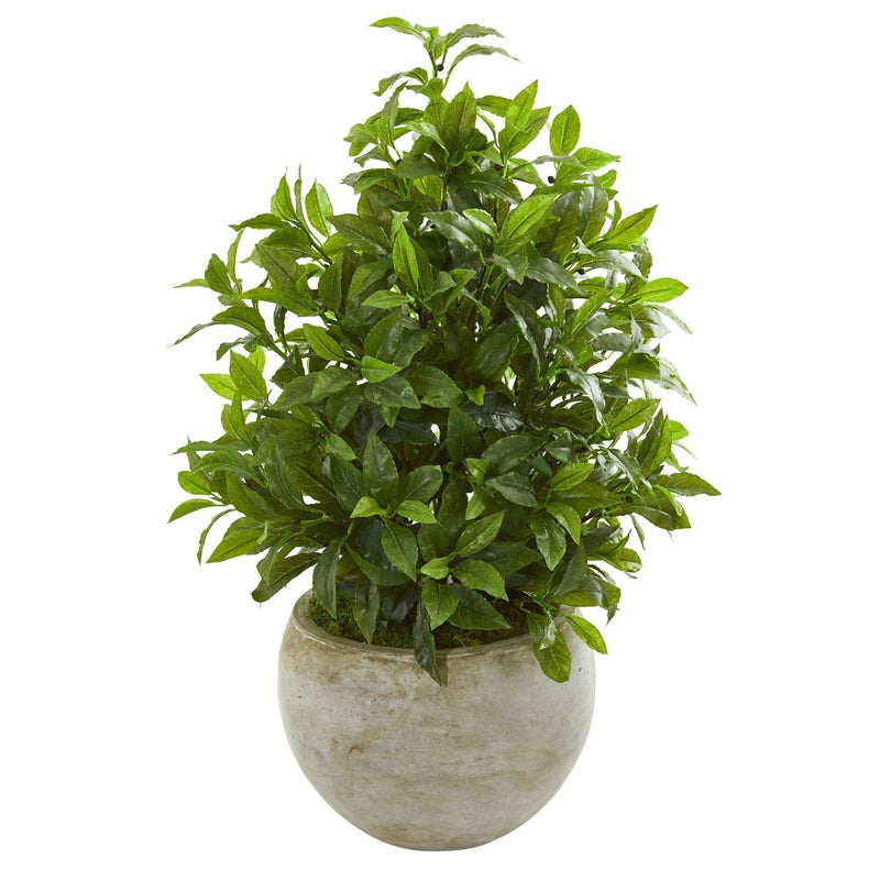 30” Coffee Leaf Artificial Plant in Sandstone Bowl (Real Touch)