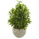 30” Coffee Leaf Artificial Plant in Sandstone Bowl (Real Touch)