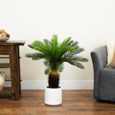 30" UV Resistant Artificial Cycas Palm Tree in White Decorative Planter (Indoor/Outdoor)