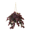 30” Peperomia Plant in Hanging Bucket (Real Touch)