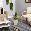 30” Sansevieria Artificial Plant in Country White Planter