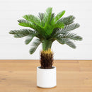 30" UV Resistant Artificial Cycas Palm Tree in White Decorative Planter (Indoor/Outdoor)