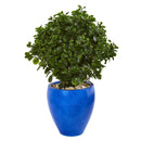 32” Peperomia Artificial Plant in Blue Planter(Indoor/Outdoor)