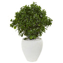 32” Peperomia Artificial Plant in White Planter (Indoor/Outdoor)