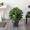 33” Silver King Artificial Plant in Black Elephant Shaped Planter