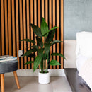 3.5'  Artificial Sky Bird Tree in White Decorative Planter