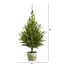 3.5’ Cedar Pine “Natural Look” Artificial Tree in Decorative Planter