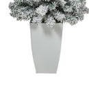 3.5' Flocked Rock Springs Spruce Artificial Christmas Tree with 50 Clear LED Lights in White Metal Planter