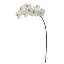 35” Phalaenopsis Orchid Artificial Flower (Set of 6)