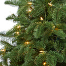 3.5’ South Carolina Spruce Artificial Christmas Tree with 100 White Warm Light and 458 Bendable Branches in Charcoal Urn