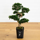 Cedar Bonsai 36" Silk Plant" by Nearly Natural