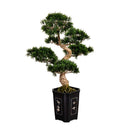 Cedar Bonsai 36" Silk Plant" by Nearly Natural