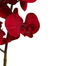 36” Christmas Phalaenopsis Orchid Artificial Flower (Set of 4)