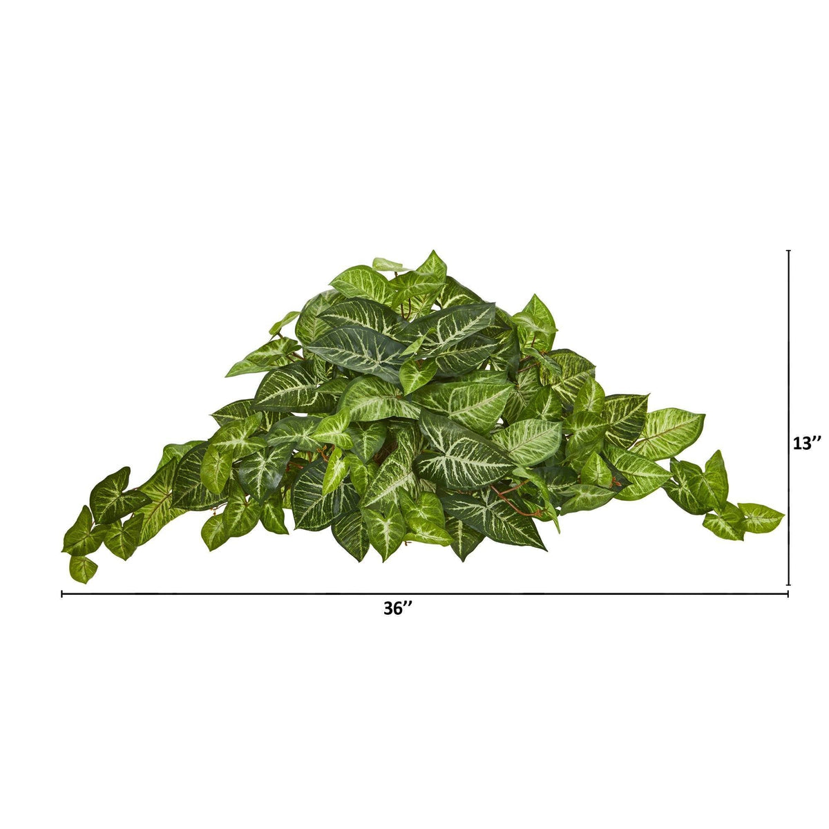 36” Nephthytis Artificial Ledge Plant, photo 2 of 2