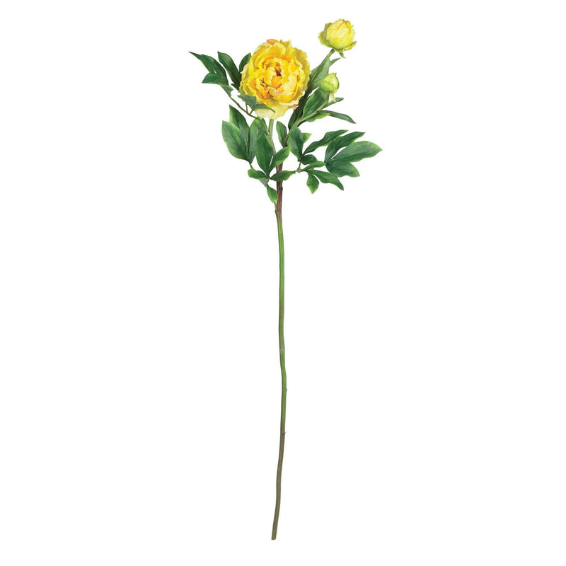 38.5" Peony w/Leaves Stem (Set of 12)"