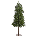 4' Alpine Artificial Christmas Tree with 100 Lights and 260 Bendable Branches