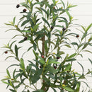 4’ Artificial Olive Tree in White Decorative Planter