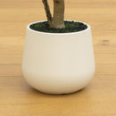 4’ Artificial Olive Tree in White Decorative Planter