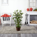 4’ Bamboo Tree in Coiled Rope Planter