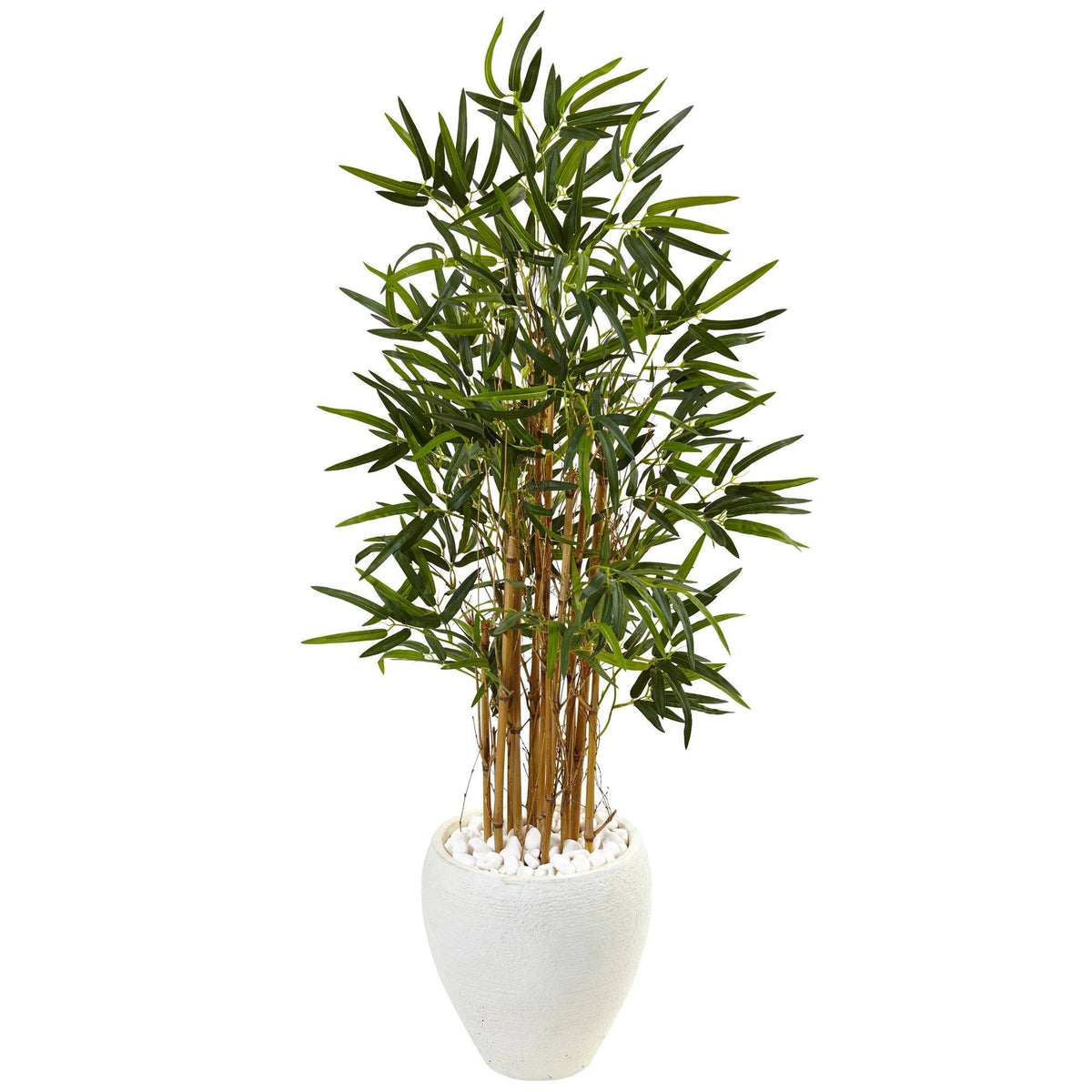 4’ Bamboo Tree in White Oval Planter