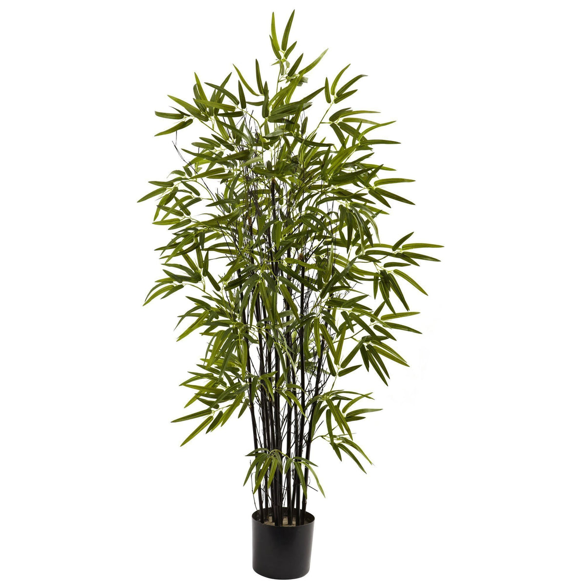 4’ Black Bamboo Tree, photo 4 of 4