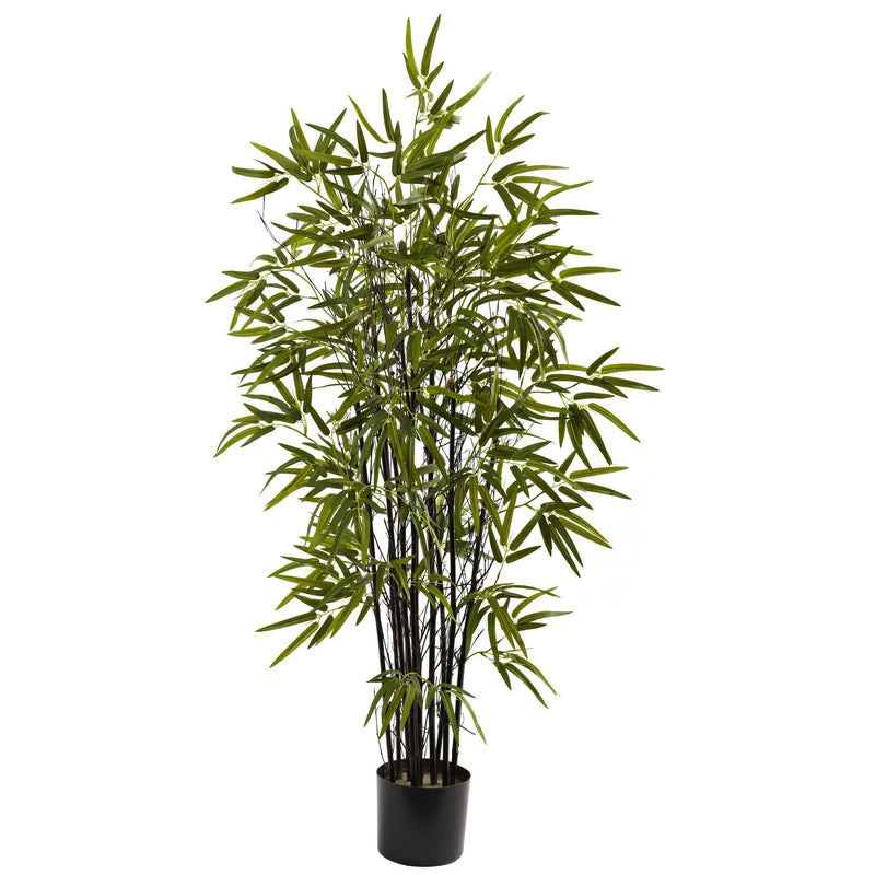 4’ Black Bamboo Tree, photo 4 of 4