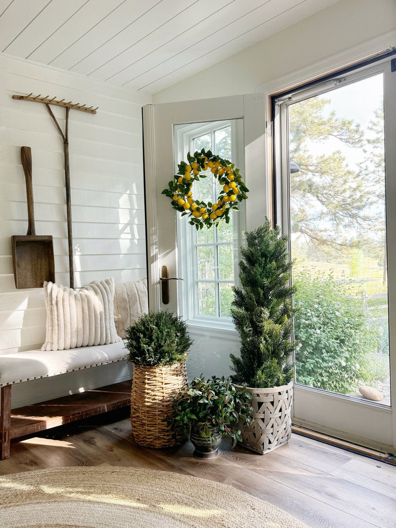 4' Cedar Tree Silk Tree (Indoor/Outdoor), photo 4 of 8