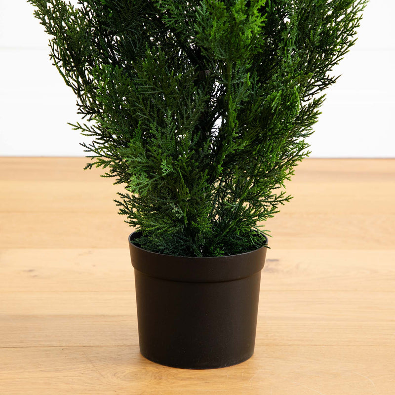 4' Cedar Tree Silk Tree (Indoor/Outdoor), photo 3 of 8
