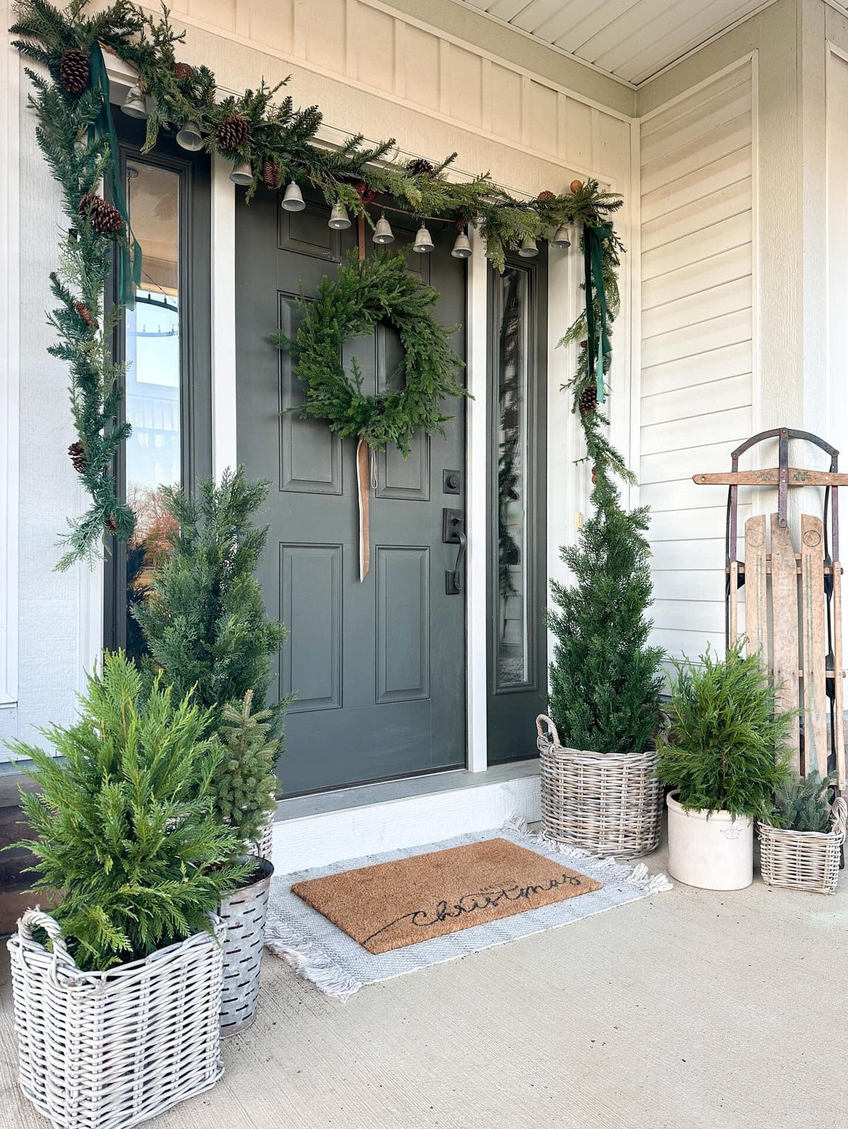 4' Cedar Tree Silk Tree (Indoor/Outdoor), photo 5 of 8
