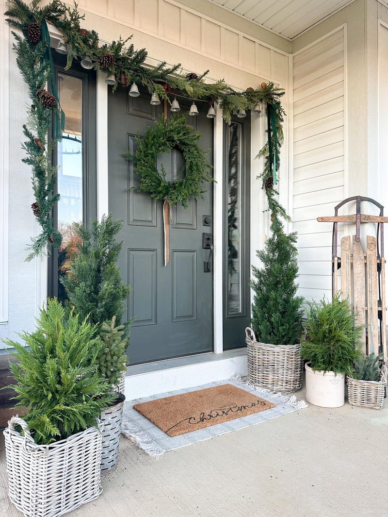 4' Cedar Tree Silk Tree (Indoor/Outdoor), photo 5 of 8
