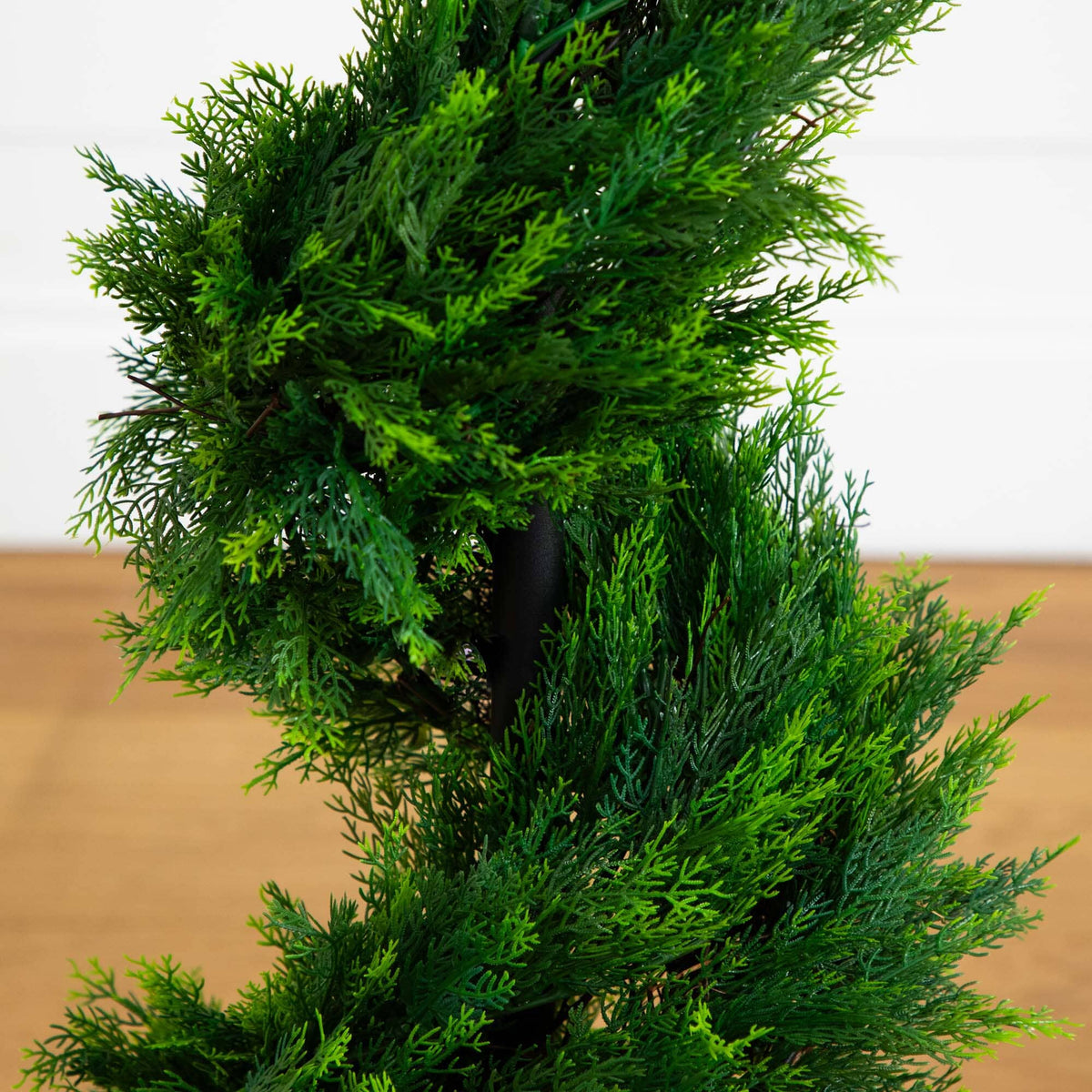 4' Cypress Spirial Silk Tree, photo 2 of 5