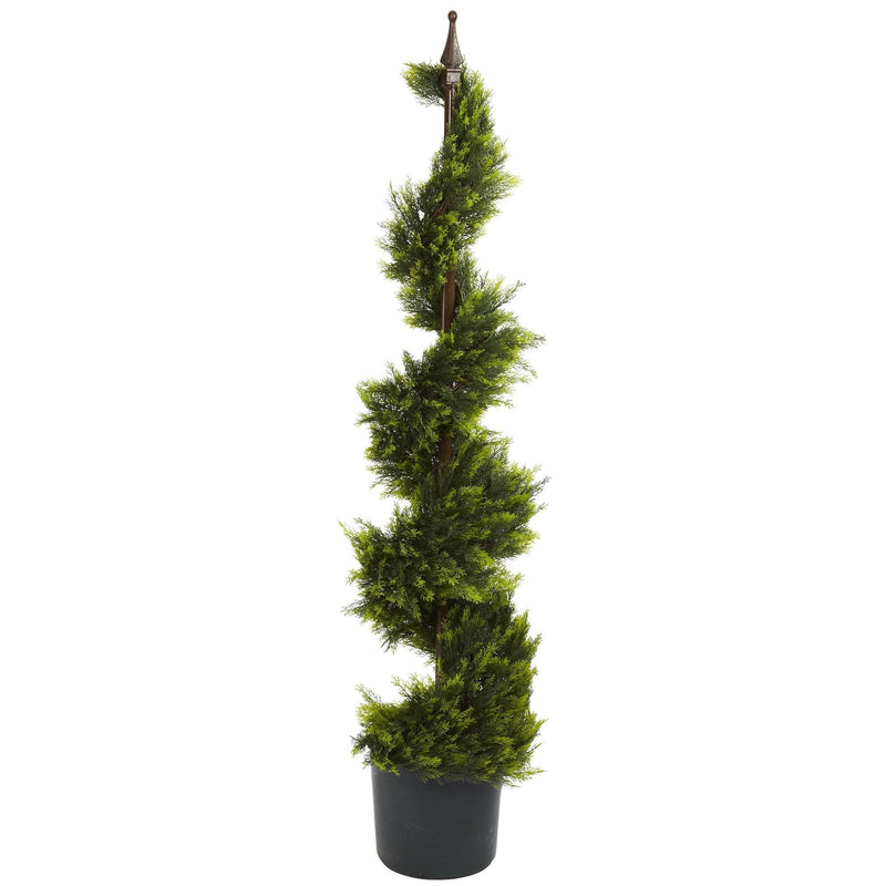 4' Cypress Spirial Silk Tree, photo 3 of 5