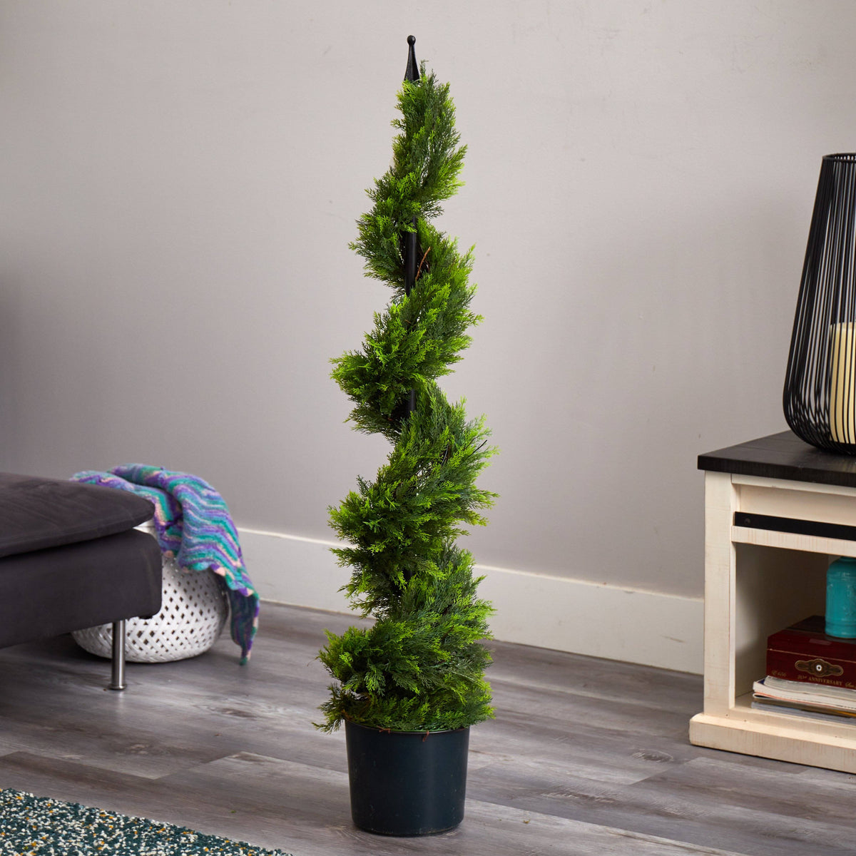 4' Cypress Spirial Silk Tree, photo 5 of 5