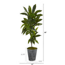 4’ Dracaena Artificial Plant in Decorative Tin Planter (Real Touch)