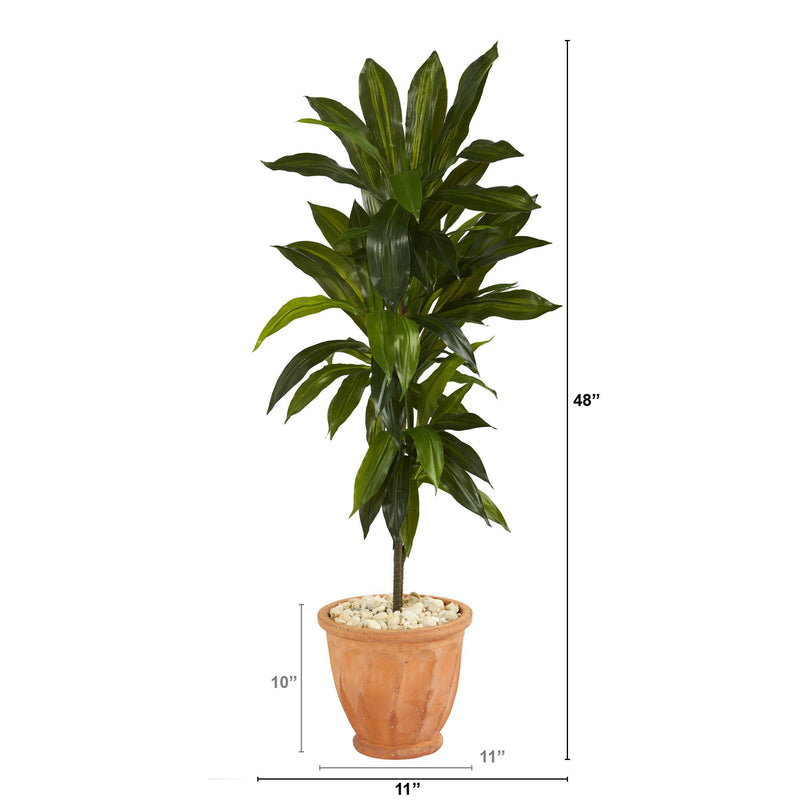 4’ Dracaena Artificial Plant in Terra-Cotta Planter (Real Touch), photo 2 of 3