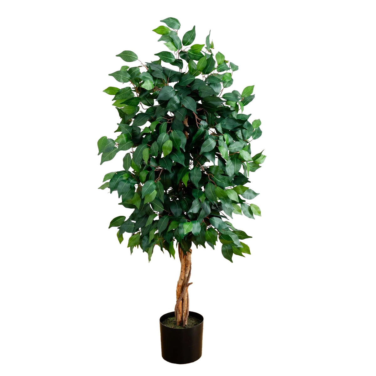4' Ficus Auriculata Artificial Silk Tree, photo 5 of 6