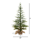 4’ Fraser Fir “Natural Look” Artificial Christmas Tree with 100 Clear LED Lights, a Burlap Base and 403 Bendable Branches by Nearly Natural